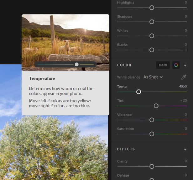Tools tips in Lightroom CC